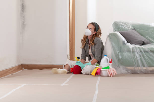 Reliable Mold Remediation contractor in Spotswood, NJ by WQB Mold Removal